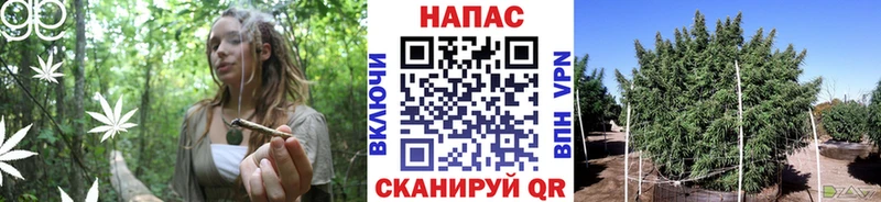МАРИХУАНА MAZAR  OMG ССЫЛКА  Серафимович 